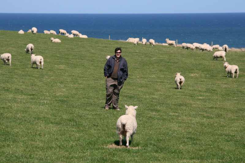 Nieuw-Zeeland 2011 - 1796